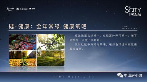 中单打野最新爆料视频,揭秘游戏新格局与英雄新动向