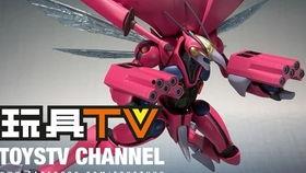 万代玩具爆料视频,精彩视频揭示神秘新品