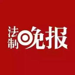 微头条爆料新闻,揭秘事件背后惊人真相