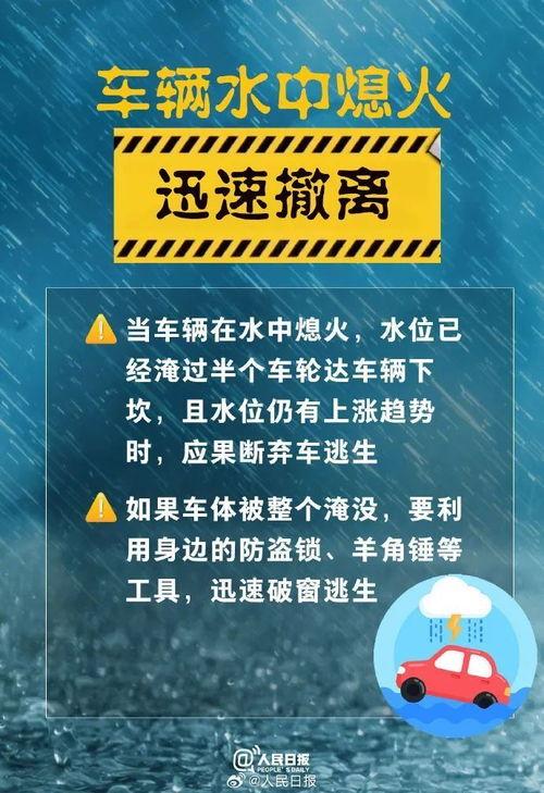 暴雨热点爆料新闻报道内容,热点爆料直击暴雨灾害现场