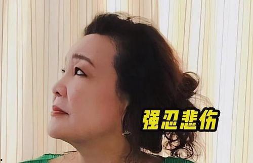孟贺爆料直播视频大全,独家爆料背后的故事与真相
