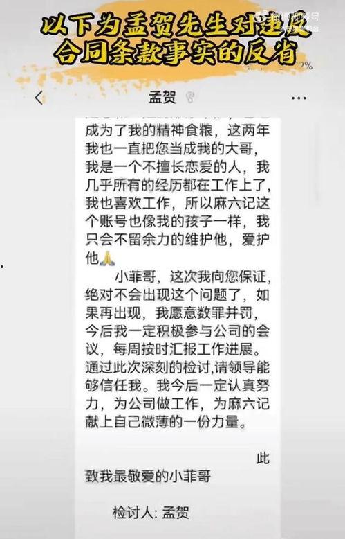 孟贺爆料直播视频大全,独家爆料背后的故事与真相