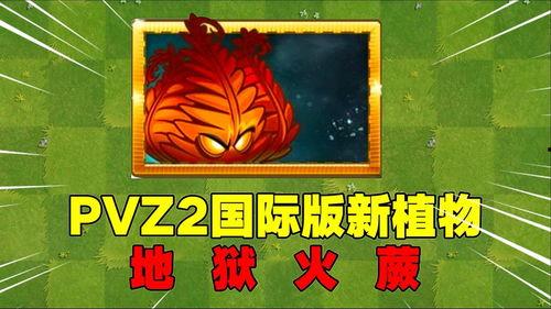 pvz最新植物爆料,神秘新角色即将登场，植物大战僵尸再掀热潮！