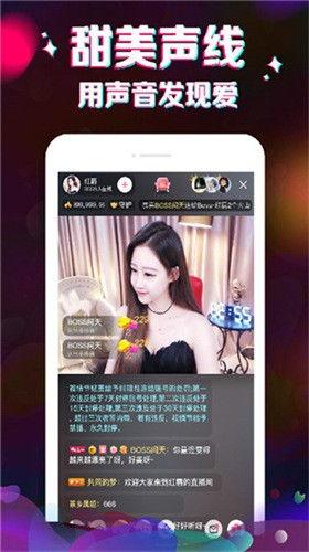 旅店老板爆料视频播放大全,视频播放大全背后的惊人真相