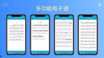爆料视频纯音乐,爆款视频背后的纯音乐魅力