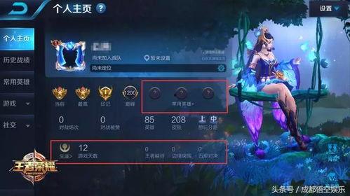 王者爆料阿牛视频,阿牛新视频揭秘，技能升级引玩家热议