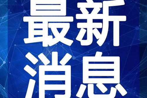 孝昌最新爆料新闻视频下载,视频揭露惊人真相，事件详情大揭秘